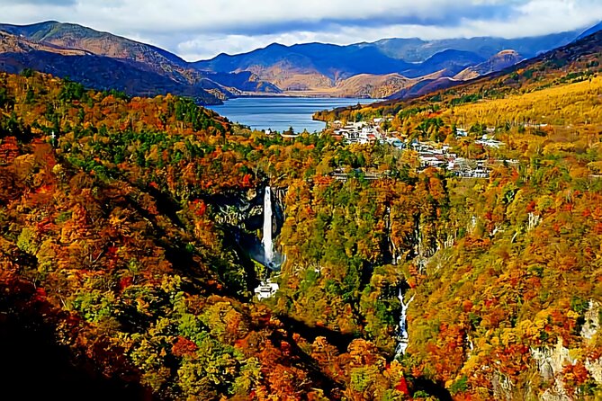Full Day Private Tour in Nikko - Itinerary Overview