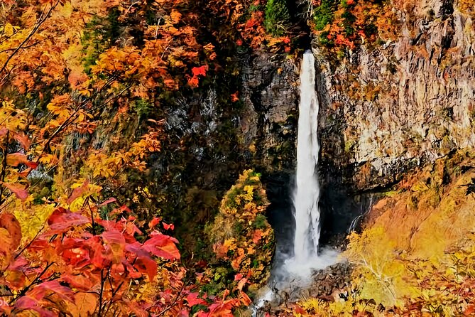 Full Day Private Tour in Nikko - Transportation Details