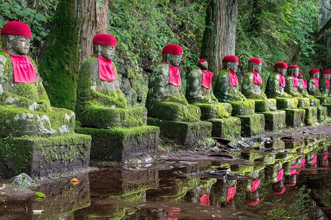 Full-Day Private Tour in Nikko Japan English Speaking Driver - Optional Activities