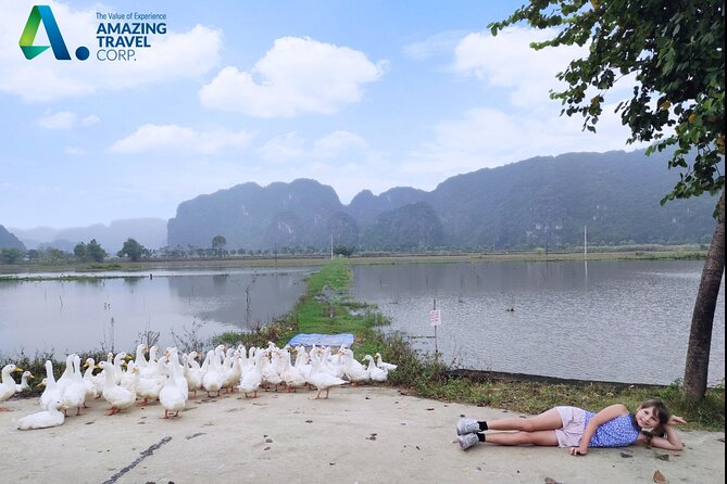 Full Day Private Tour in Ninh Binh(Trang An-Bich Dong-Mua Cave) - The Sum Up