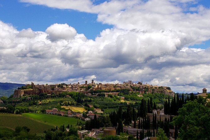 Full Day Private Tour in Orvieto and Civita Di Bagnoregio - Pricing and Inclusions