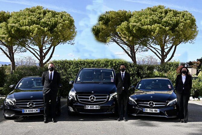 Full-Day Private Tour in Paris With Driver - The Sum Up