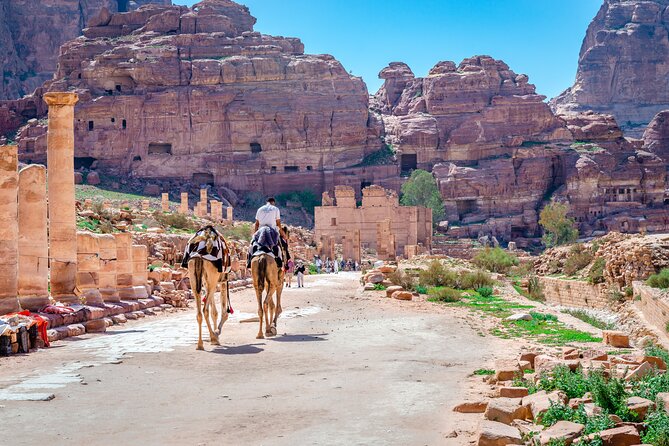 Full Day Private Tour in Petra From Amman - What To Expect