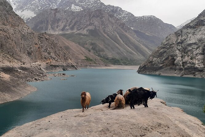 Full Day Private Tour in Seven Lakes From Samarkand - Inclusions and Exclusions