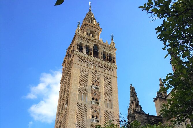 Full Day Private Tour in Seville - Meeting and Pickup