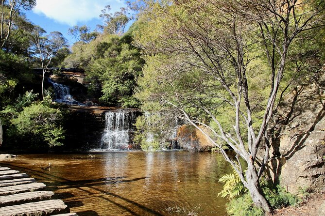 Full Day Private Tour in Sydney With Guide - Top Attractions Covered