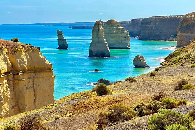 Full-Day Private Tour in Victoria - Local Guide