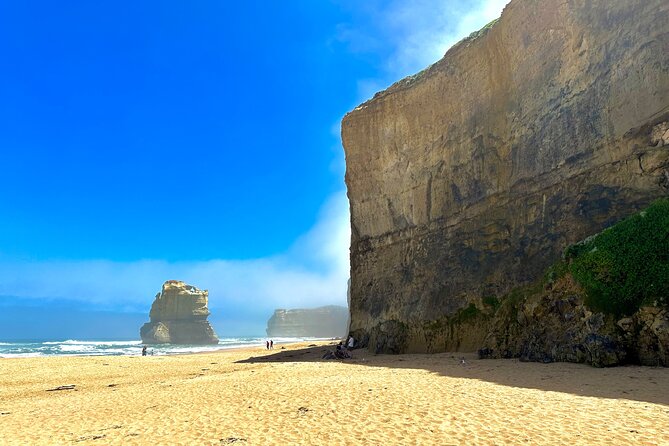 Full-Day Private Tour in Victoria - Flexible Schedule
