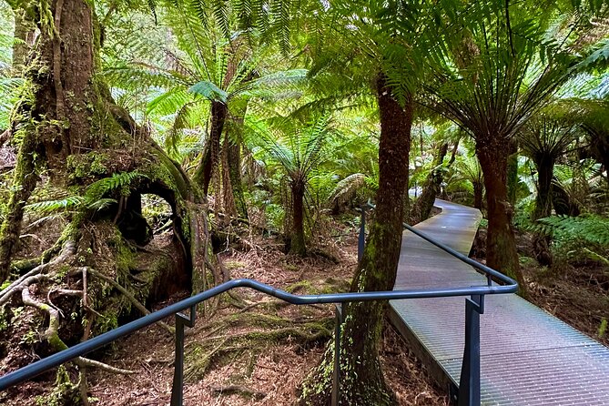 Full-Day Private Tour in Victoria - Booking and Pricing Information