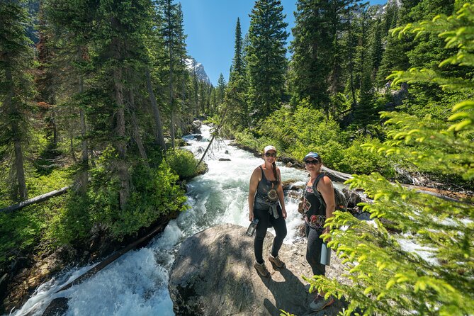Full-Day Private Tour in Yellowstone National Park - Tour Highlights