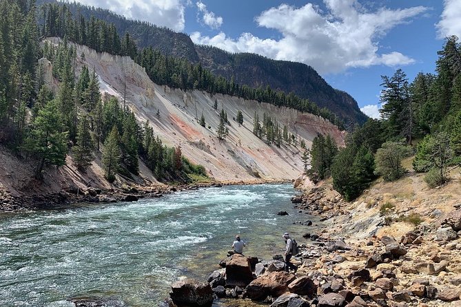 Full-Day Private Tour in Yellowstone National Park - Tour Details