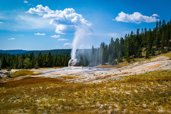 Full-Day Private Tour in Yellowstone National Park - Viator Help Center
