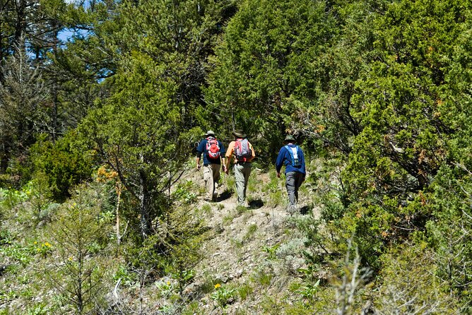 Full-Day Private Tour in Yellowstone National Park - Miscellaneous