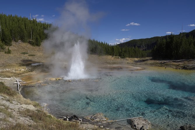 Full-Day Private Tour in Yellowstone National Park - Terms & Conditions