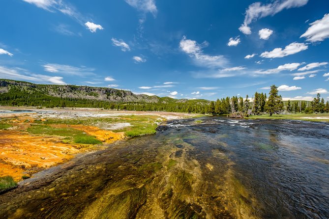 Full-Day Private Tour in Yellowstone National Park - Common Questions