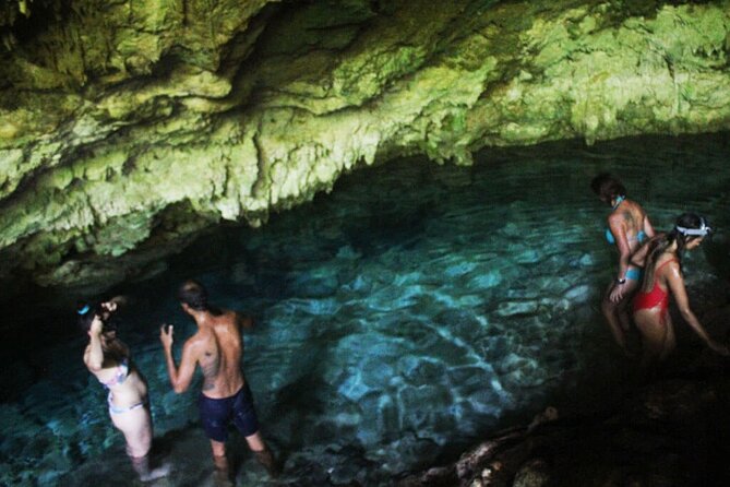 Full-Day Private Tour in Zanzibar With Jozani Forest - Cancellation Policy