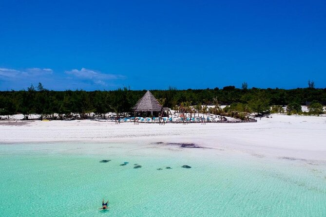 Full-Day Private Tour in Zanzibar With Jozani Forest - Customer Reviews