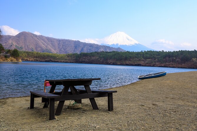 Full Day Private Tour Mt. Fuji, Hakone and Lake Ashi - Tour Details