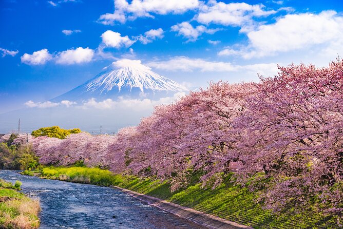 Full Day Private Tour Mt. Fuji, Hakone and Lake Ashi - Cancellation Policy