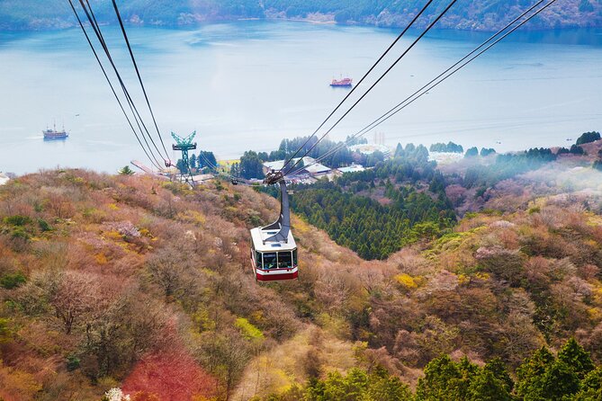 Full Day Private Tour Mt. Fuji, Hakone and Lake Ashi - Common Questions
