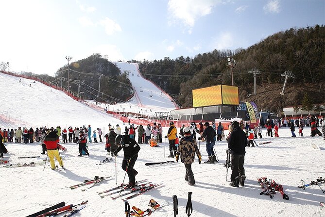 Full Day Private Tour Nami Island & Gangchon Elysian Ski - Legal Information
