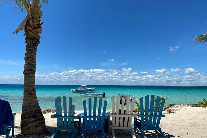 Full Day Private Tour of Bayahibe, Cotubanamá and Saona Island - Good To Know