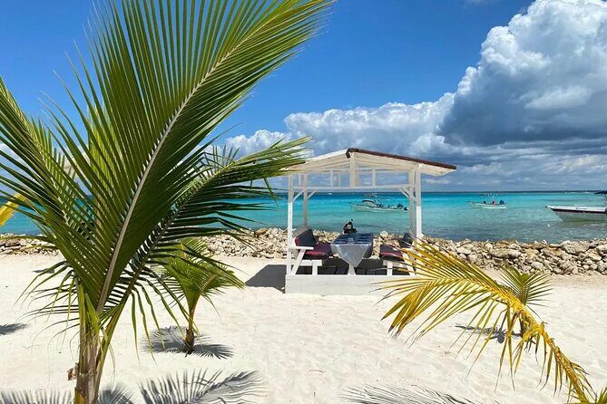 Full Day Private Tour of Bayahibe, Cotubanamá and Saona Island - Final Thoughts