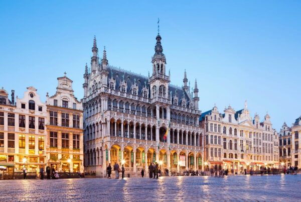 Full-Day Private Tour of Brussels From Paris - Tips for a Great Experience
