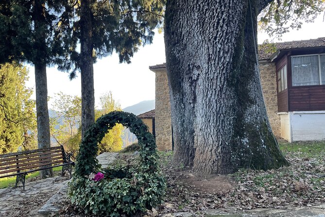 Full-Day Private Tour of Doxa Lake and Trikala Korinthias - Common Questions