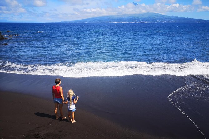 Full-Day Private Tour of Faial - Pricing and Value