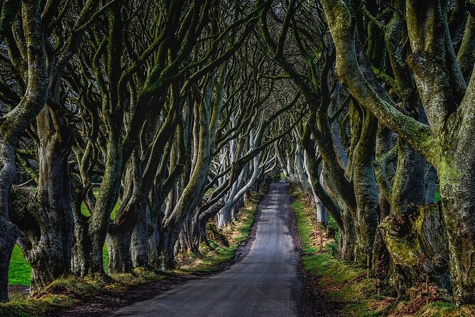 Full-Day Private Tour of Giants Causeway With Pick up - Tour Inclusions