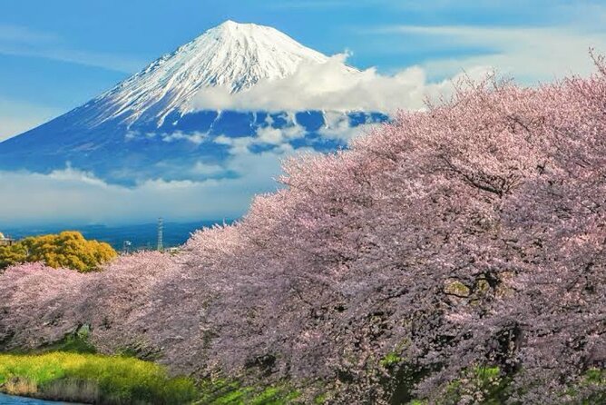 Full Day Private Tour of Mt Fuji - Important Information