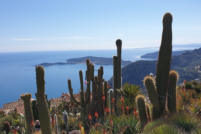 Full-Day Private Tour of Nice, Monaco and Eze Village With Private Guide - Pricing and Booking