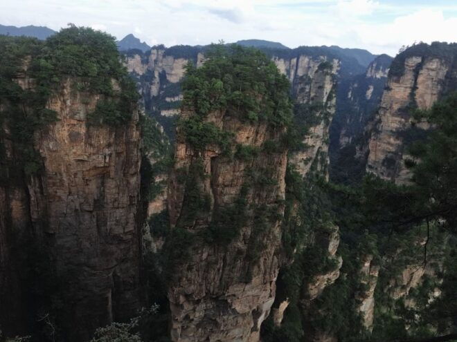 Full-Day Private Tour of Zhangjiajie National Forest Park - Customer Reviews
