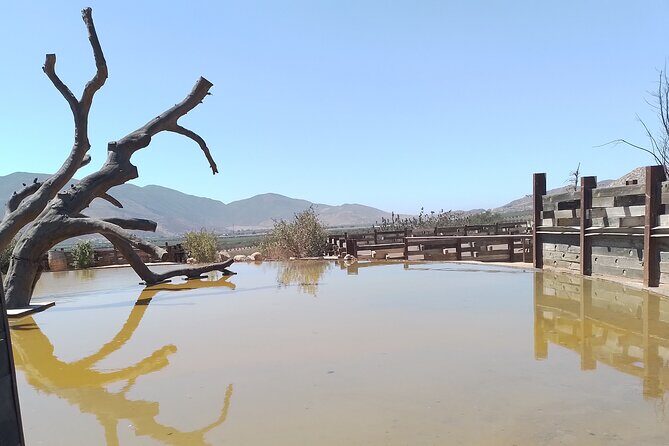 Full Day Private Tour or Guadalupe Valley Weekend - The Itinerary Breakdown: What to Expect