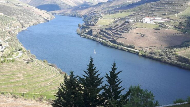 Full-Day Private Tour (Porto City Douro Valley) - Activity Details