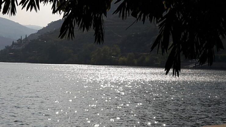 Full-Day Private Tour (Porto City Douro Valley) - Experience Highlights