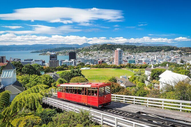 Full Day Private Tour Sightseeing Wellington Including Pickup - Good To Know