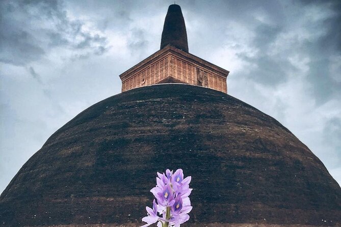 Full Day Private Tour to Anuradhapura From Kandy - Meeting and Pickup Details