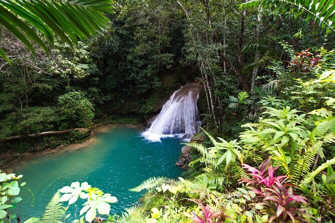 Full Day Private Tour to Blue Hole, Secret Falls & Dunn's River - Who Is This Tour Best For?