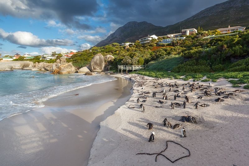 Full Day Private Tour to Cape Peninsula - Camps Bay starts with the mountain-and-sea view