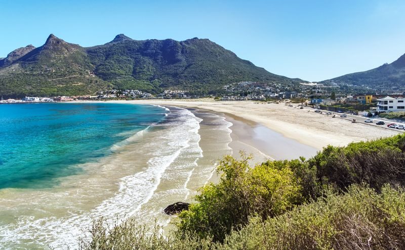 Full Day Private Tour to Cape Peninsula - Boulders Beach puts African penguins within reach