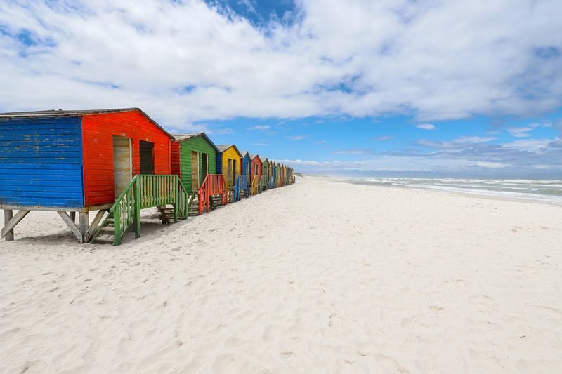 Full Day Private Tour to Cape Peninsula - Is the tour good value?