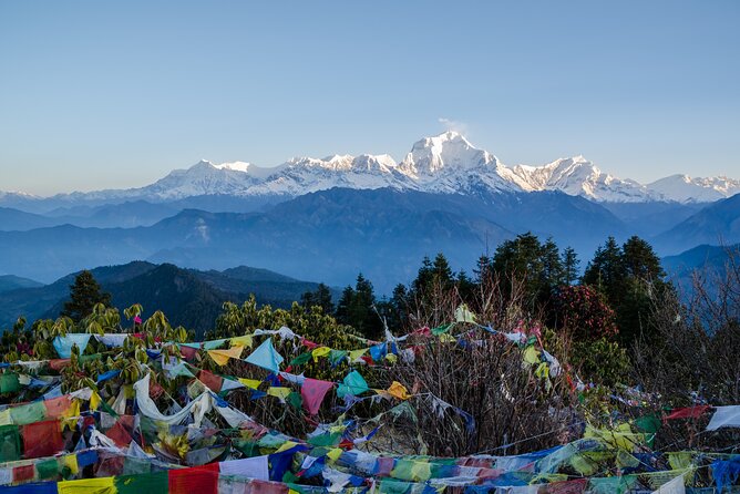 Full Day Private Tour to Chandra Giri Hill - Availability