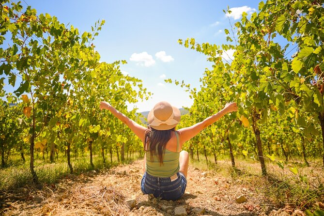 Full Day Private Tour to Chianti Wine Region From Florence - Itinerary and Highlights
