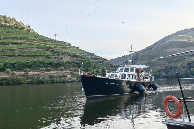 Full Day Private Tour to Douro - Vintage Experience - Itinerary Overview