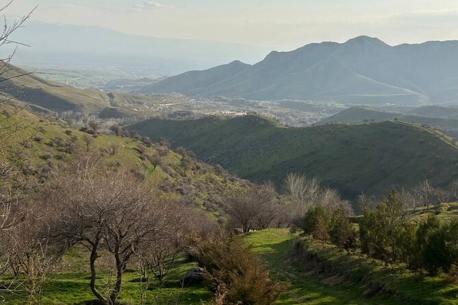 Full Day Private Tour to Fergana Valley From Tashkent - Whats Included