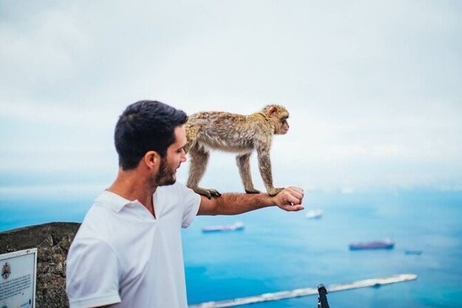 Full Day Private Tour to Gibraltar From Malaga - Common Questions