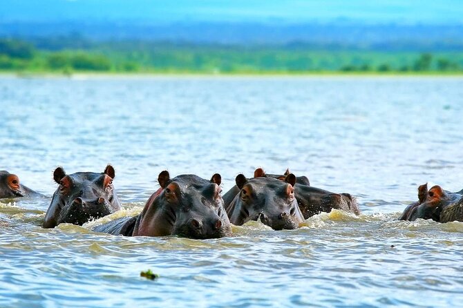 Full Day Private Tour to Hells Gate National Park From Nairobi. - Frequently Asked Questions