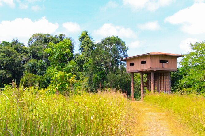 Full Day Private Tour to Khao Yai National Park From Bangkok - Selecting Date and Travelers